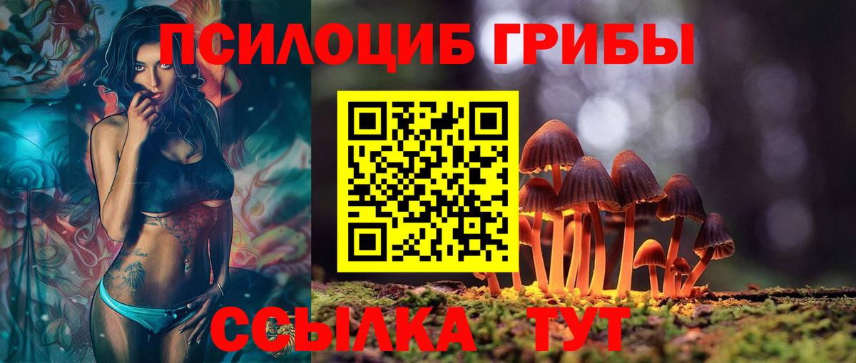 Борисоглебск  Галлюциногенные грибы Magic Shrooms  Вход с VPN 
