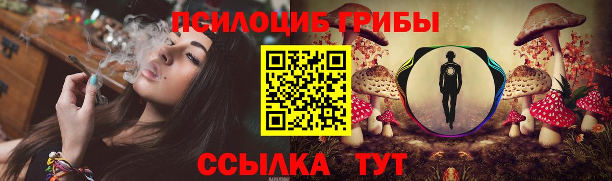 Псилоцибиновые грибы Cubensis Борисоглебск